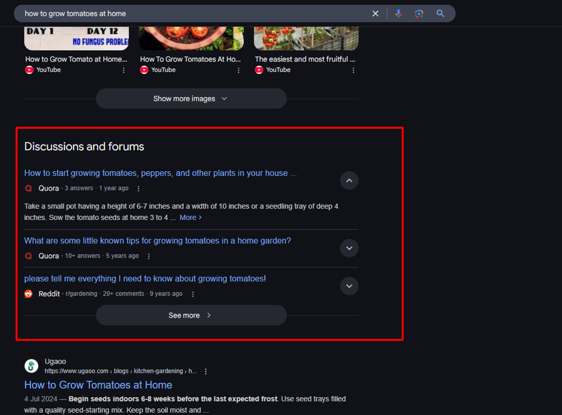 Discussions and forums is a SERP feature that is a collection of links to forum-style websites.
