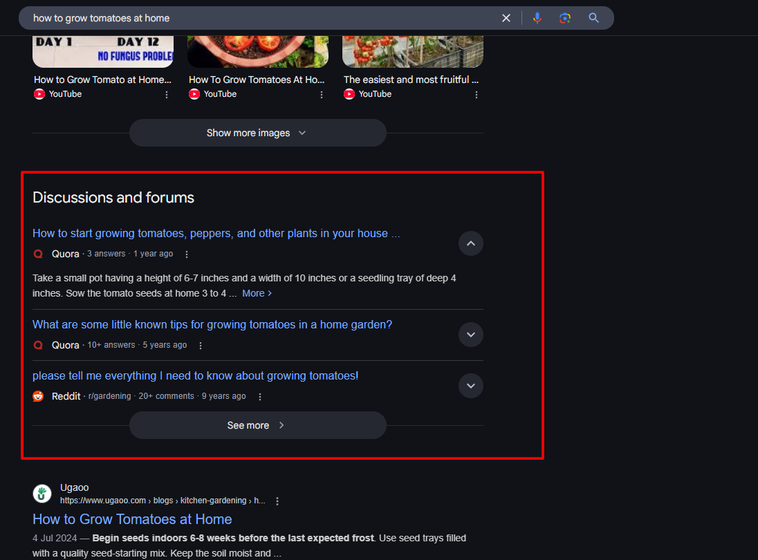 Discussions and Forums SERP Feature
