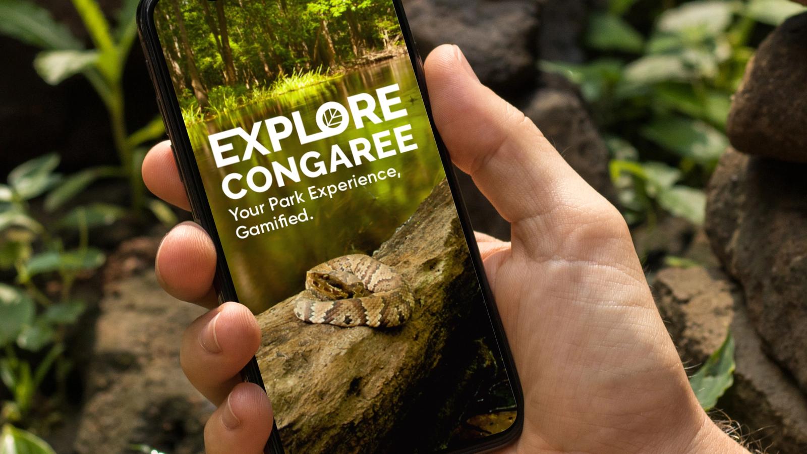 National Park Connect // Mobile App (MFA Thesis Project)