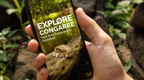 National Park Connect // Mobile App (MFA Thesis Project)