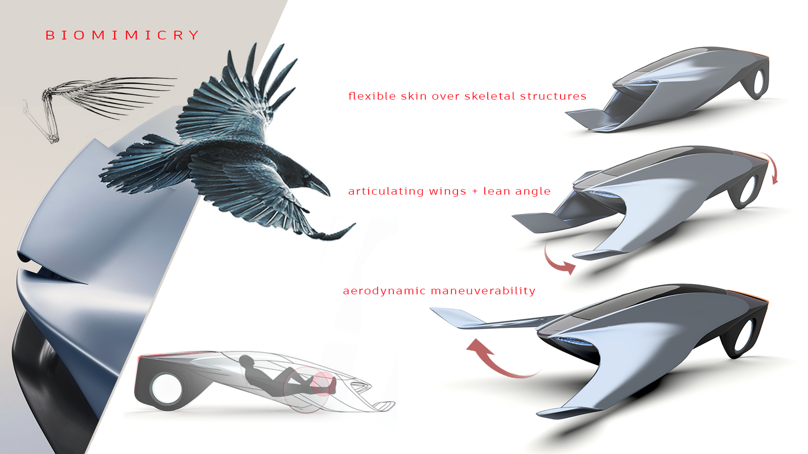 Biomimicry Application and Function