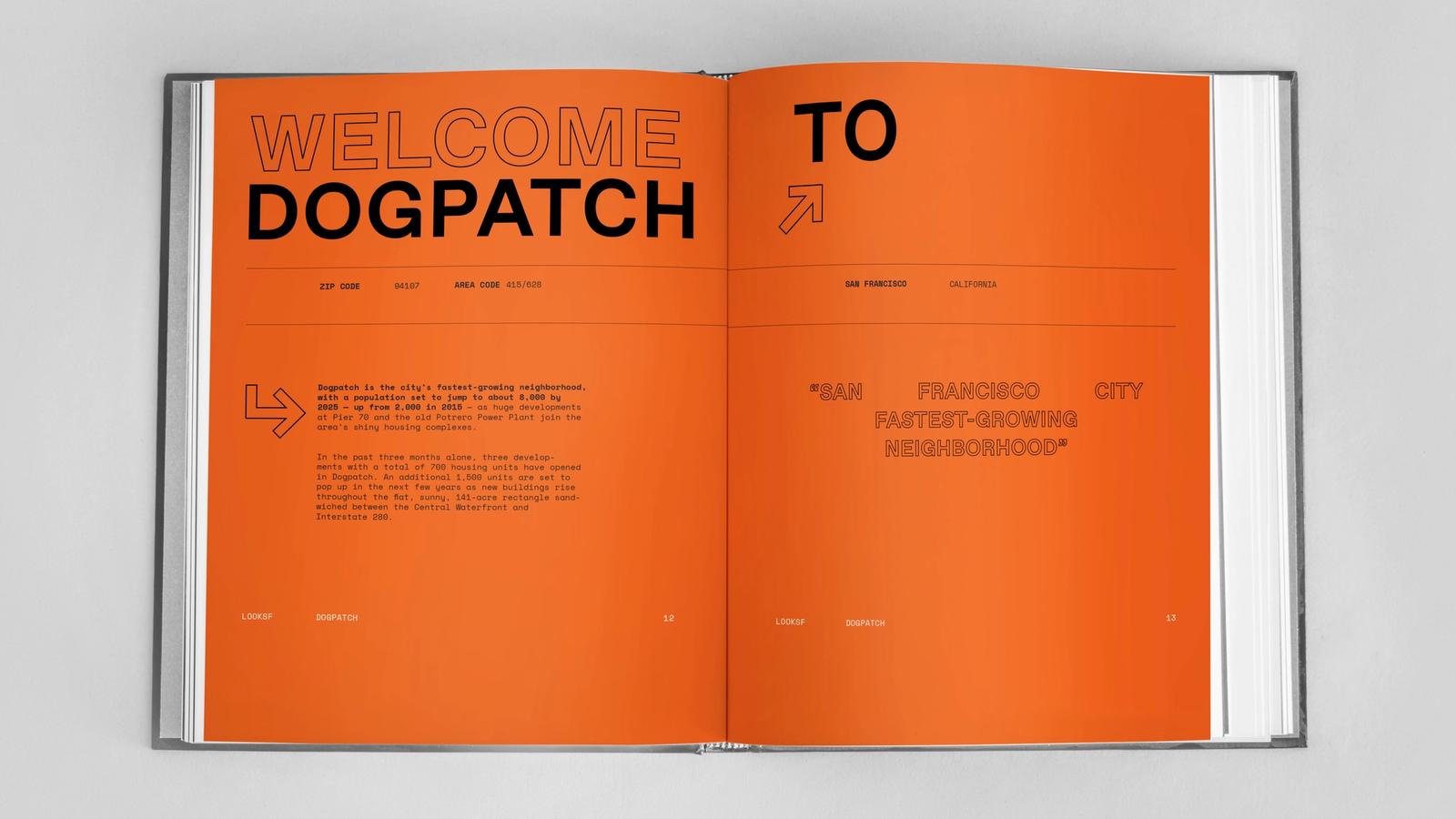 Dogpatch neighborhood publication