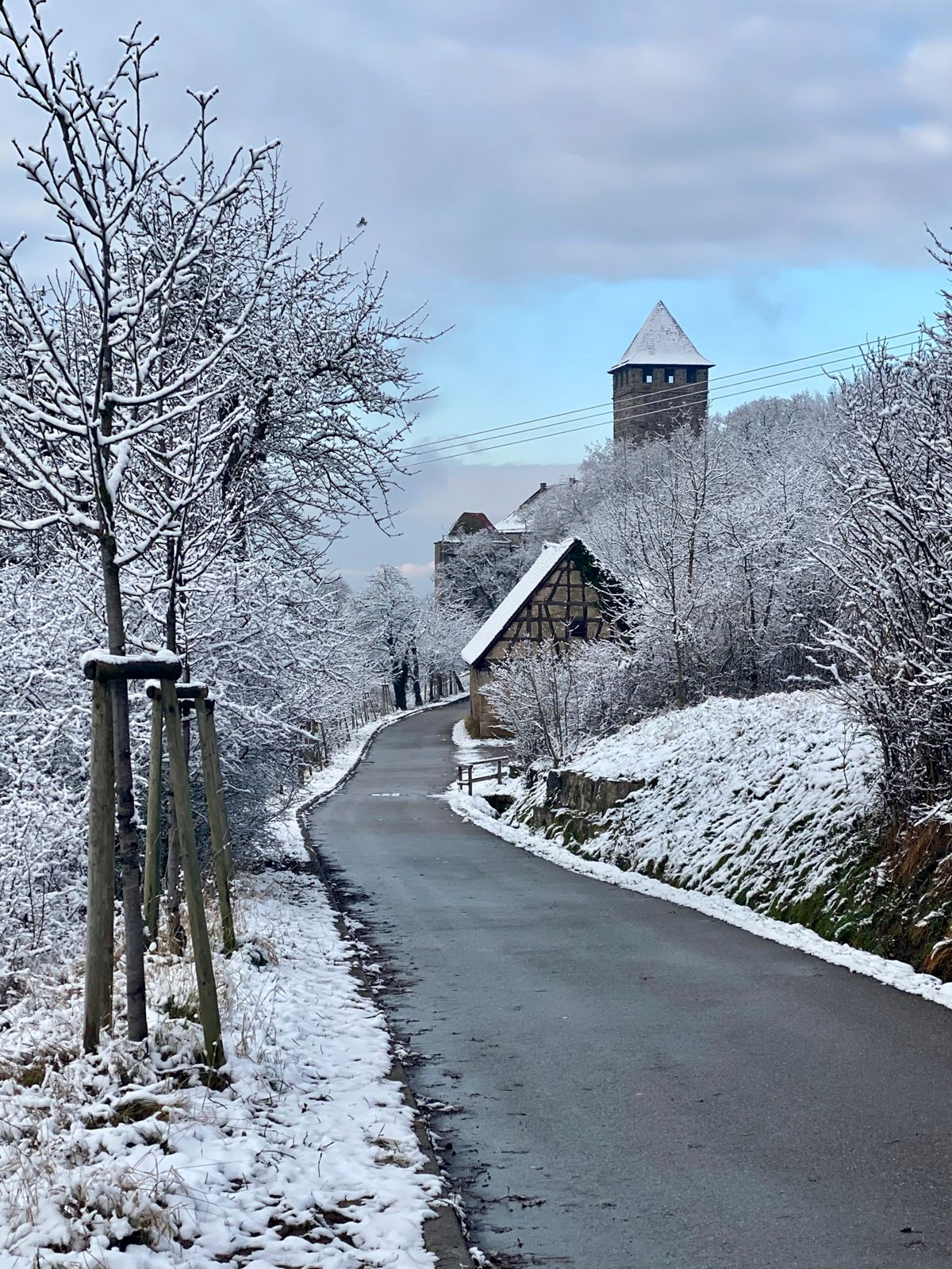 Burg Lichtenberg in Winter