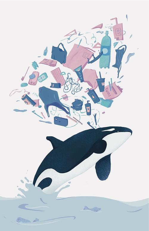 Plastic Orca