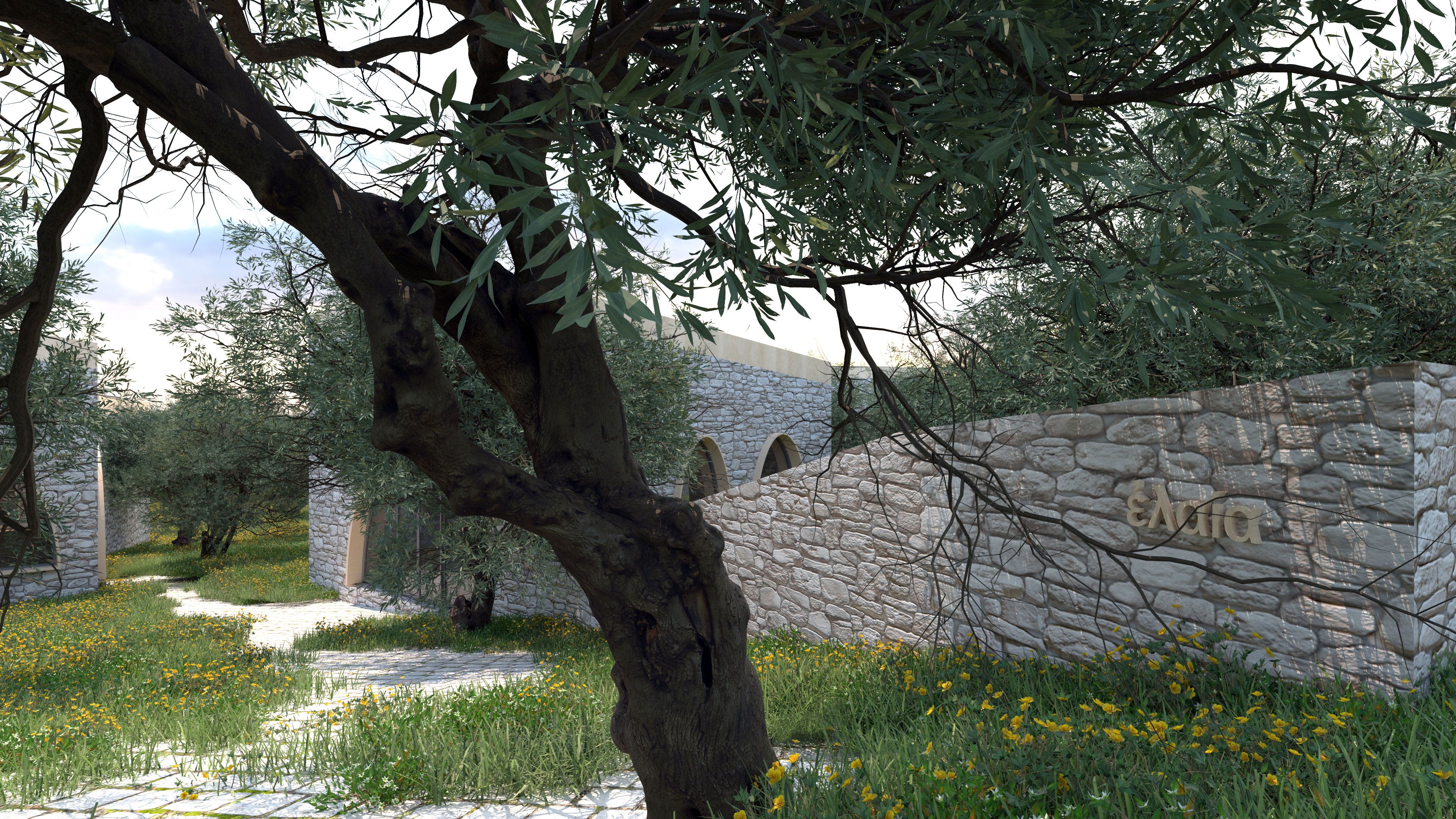 ἐλαία (elaía, “olive”) - Agritourism Complex inside an ancient ecosystem of olive groves in Peloponnese, Greece