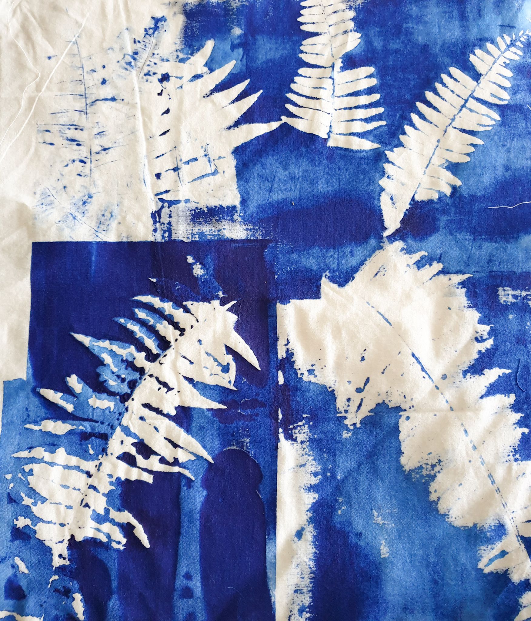 Used ferns for screen print