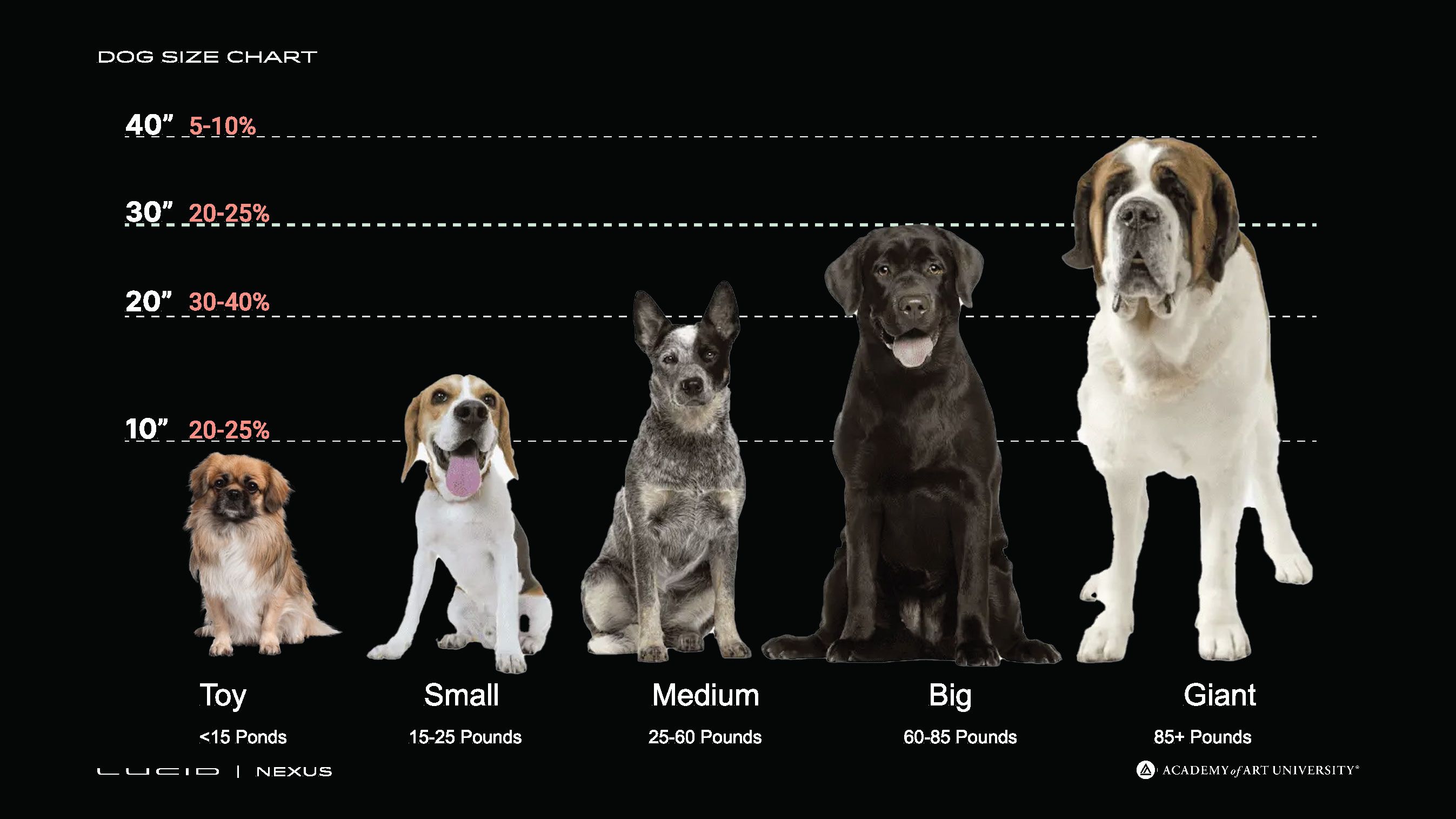 Nexus Dog Size Research