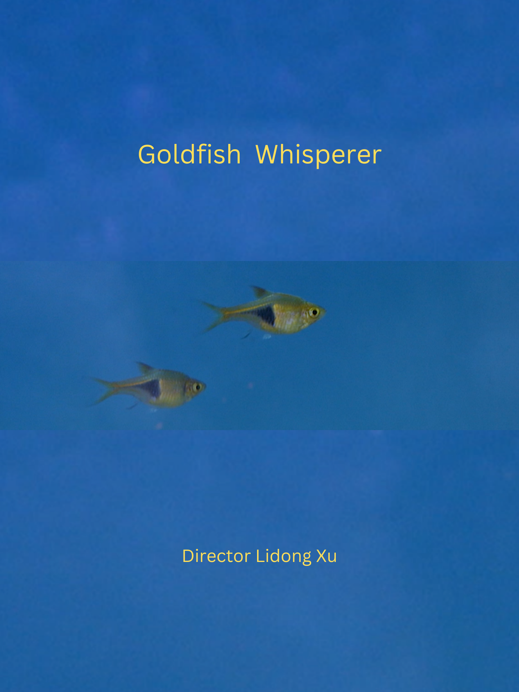 Goldfish Whisper 