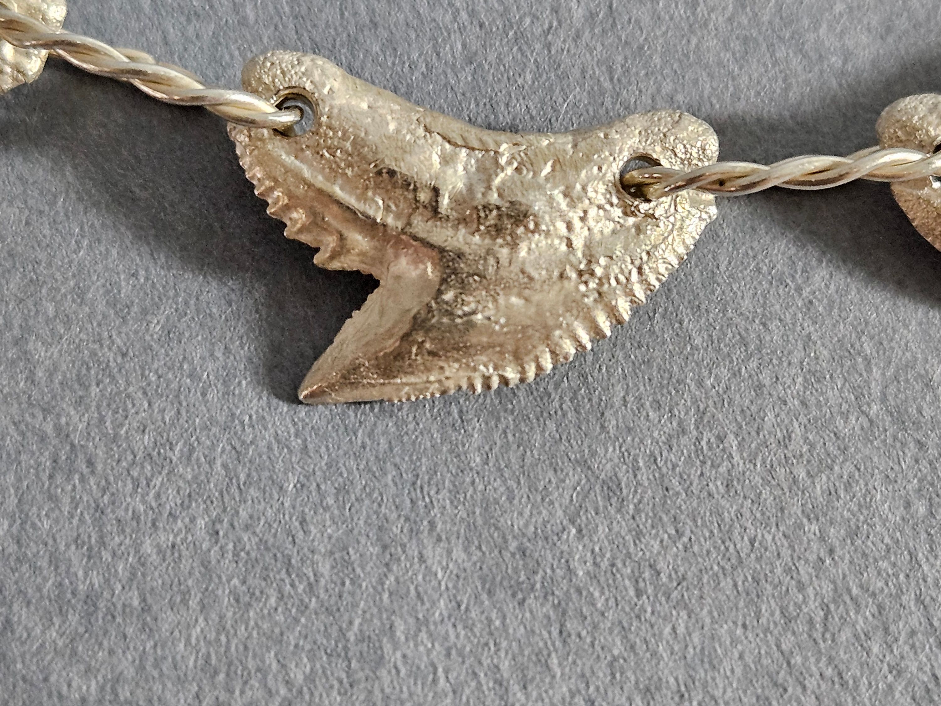 Silver tiger shark tooth necklace