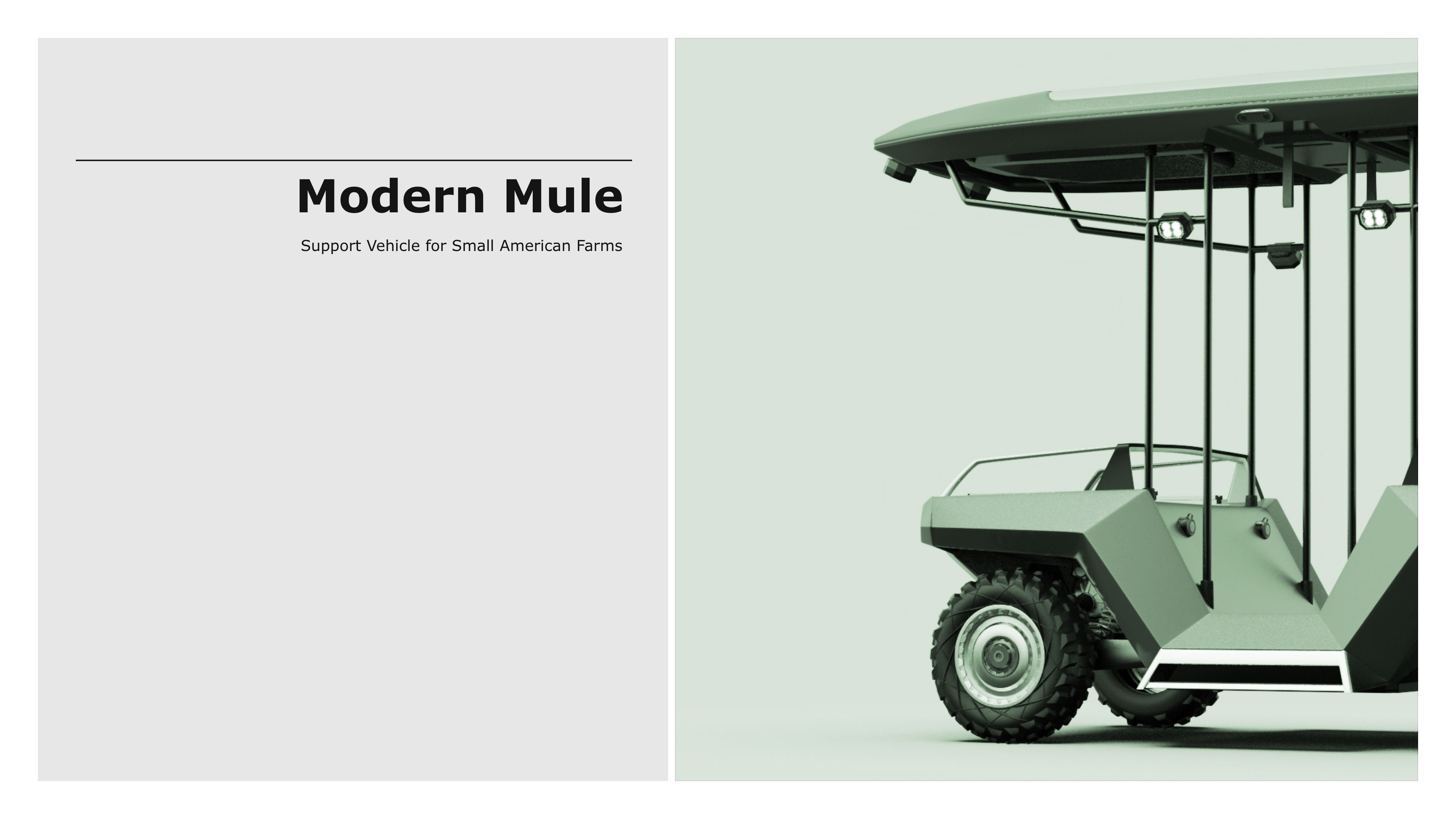 Modern Mule