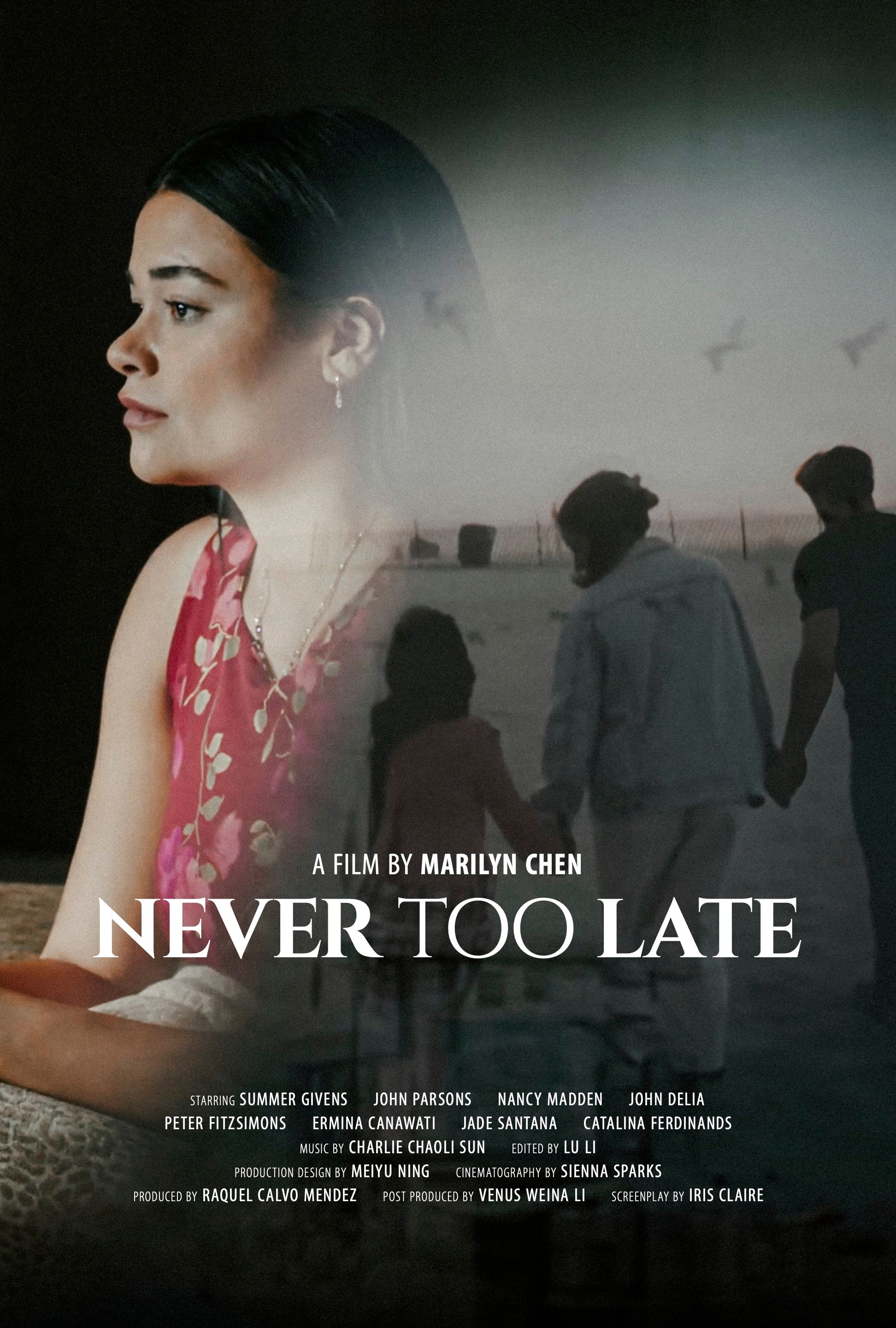 Poster for film "Never Too Late"; Woman stares longingly out in to distance and in other direction a family holds hands on a beach. 