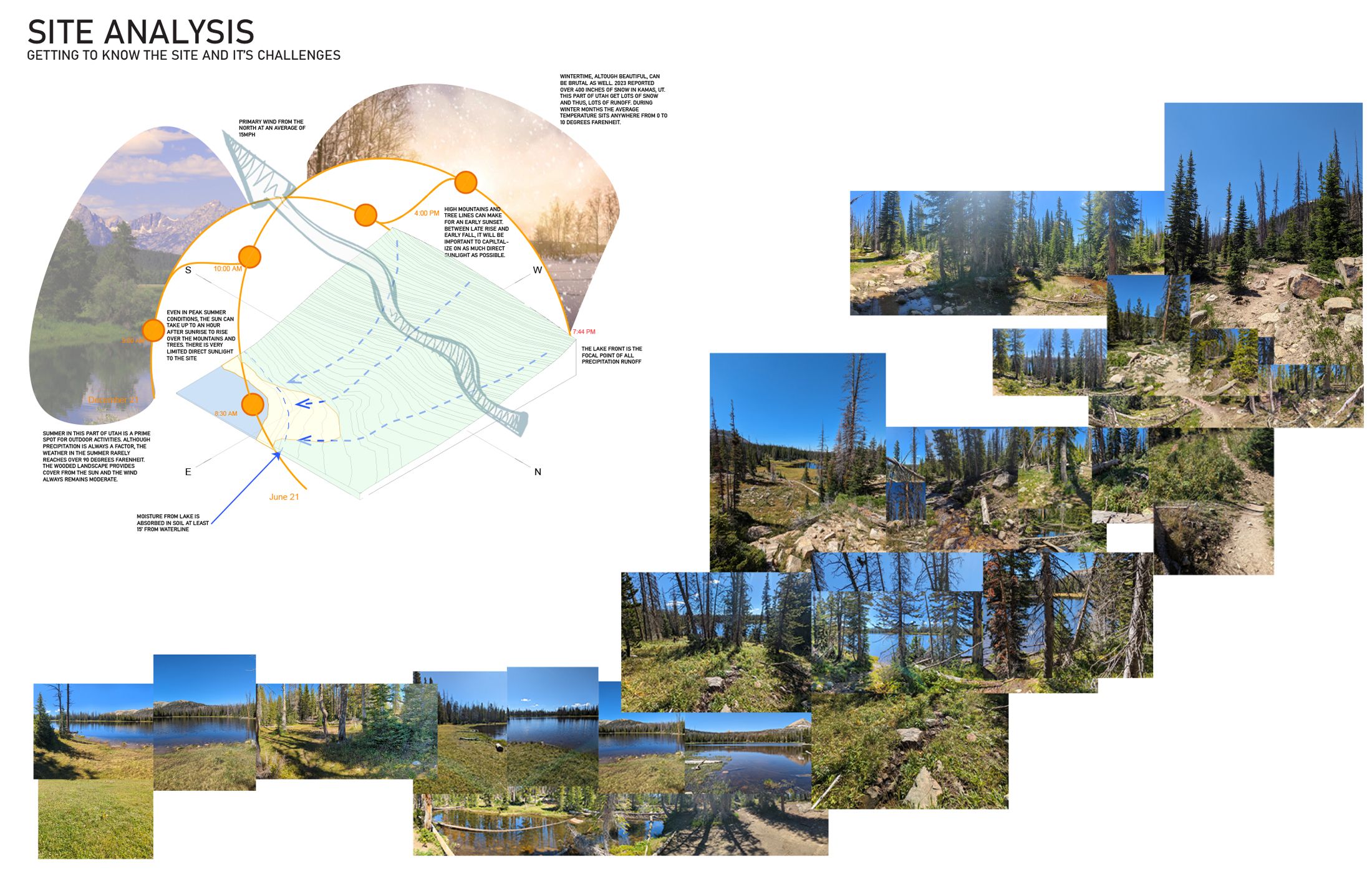 site analysis