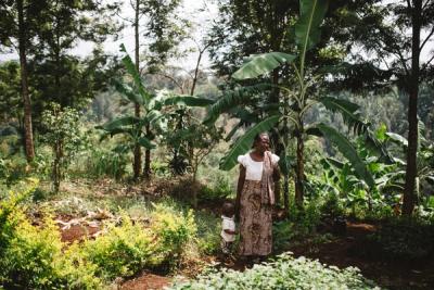 Monitoring in the field