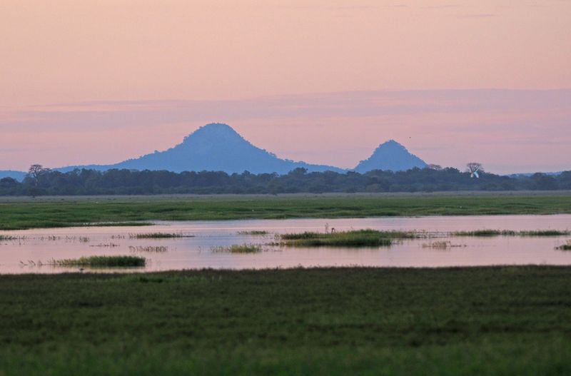 View of Mount Gorongosa