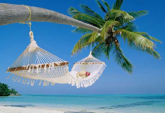 Wish You Were Here! - Postcards from the Indian Ocean Islands