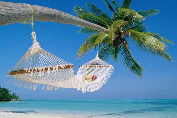 Wish You Were Here! - Postcards from the Indian Ocean Islands
