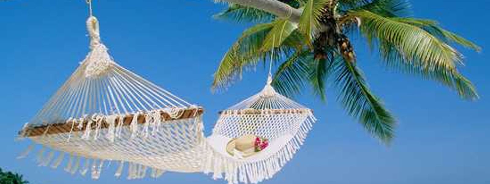 Wish You Were Here! - Postcards from the Indian Ocean Islands