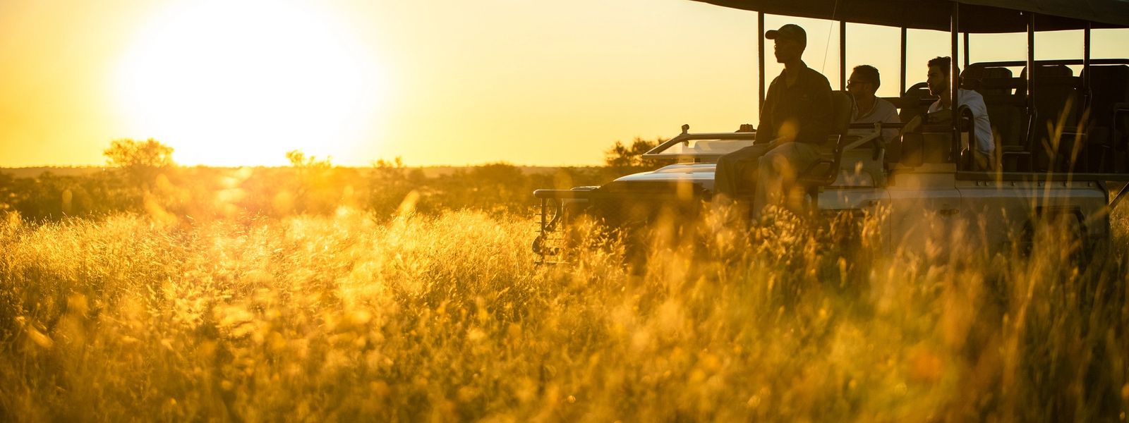 Melhor época para viajar para a África: seu melhor calendário de viagens para a África