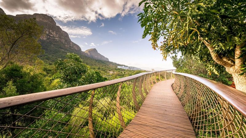Romantik im Botanischen Garten Kirstenbosch
