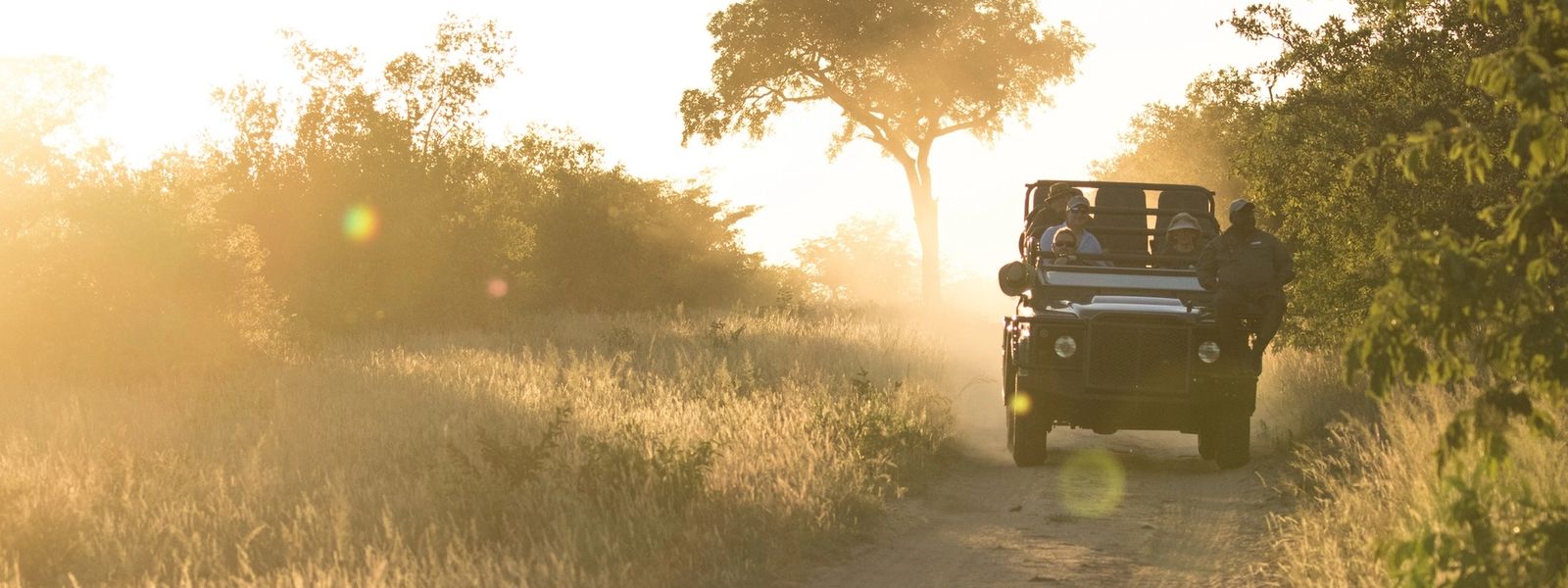 Join Us for a Silvan Summer: Silvan Safari Blog