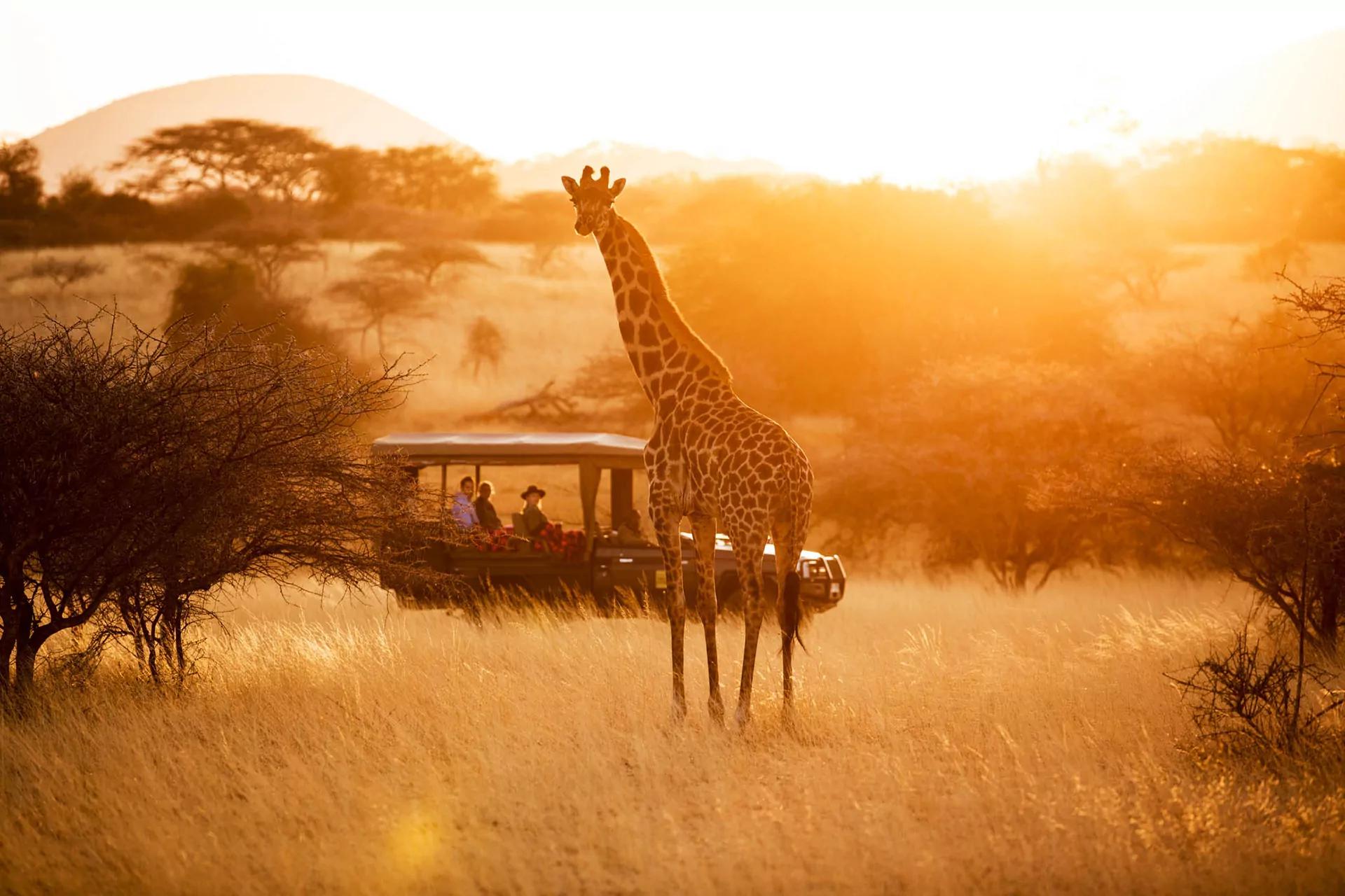 Unpacking The African Travel Experience