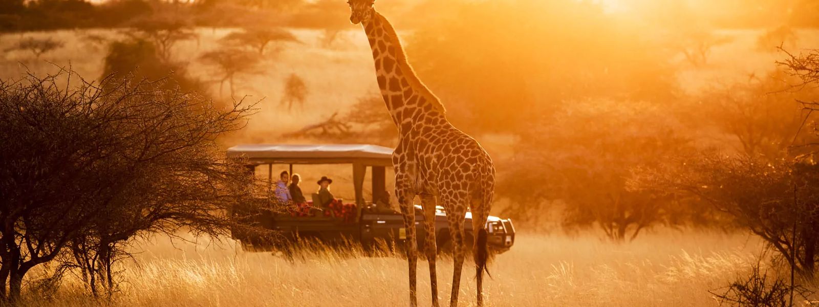 Unpacking The African Travel Experience