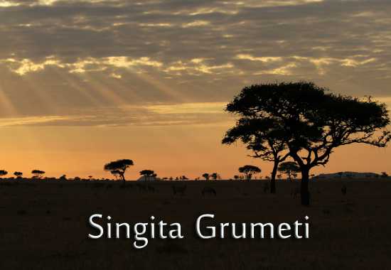 Rhino Africa Visits Singita Grumeti