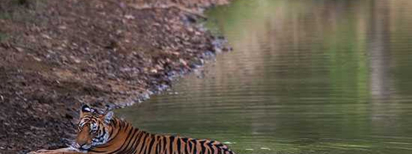 Your Next Great Adventure | Rhino Asia