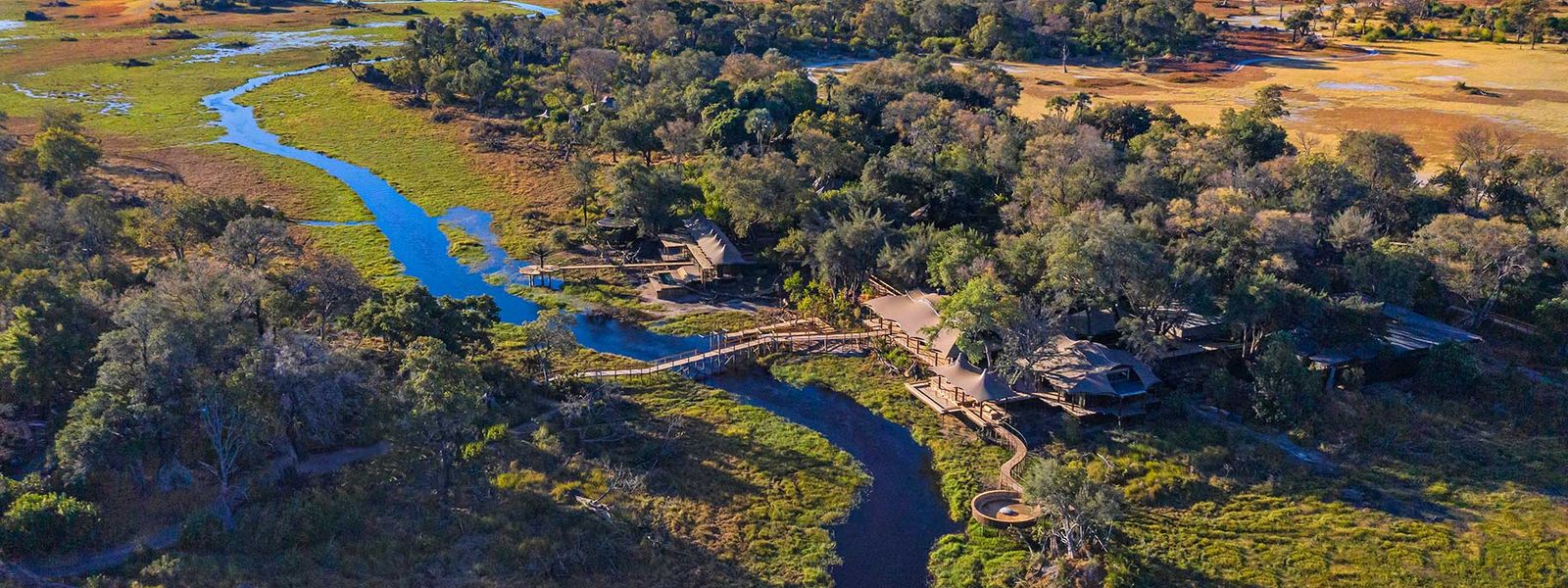Our Travel Experts’ Bountiful Botswana Safari Stories