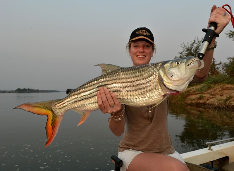 Frau hält großen Tigerfisch hoch