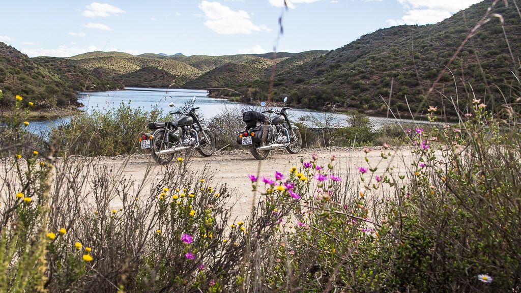 GARDEN ROUTE | Étape #2 : Road-trip sur la Route 62 