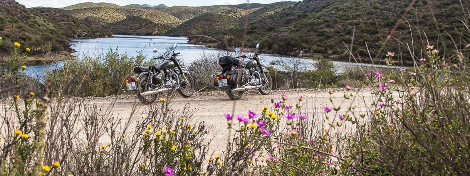 GARDEN ROUTE | Étape #2 : Road-trip sur la Route 62