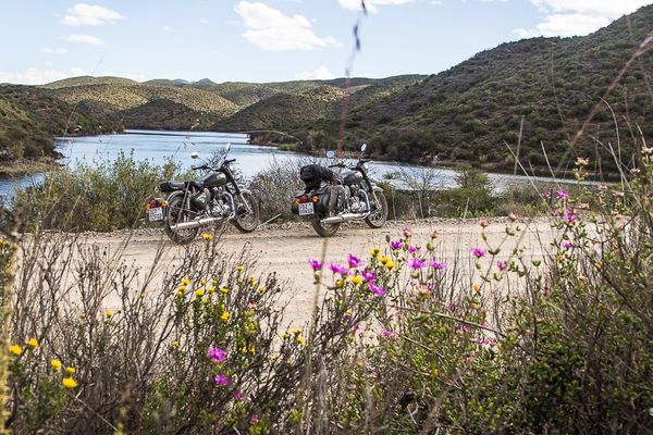 GARDEN ROUTE | Étape #2 : Road-trip sur la Route 62