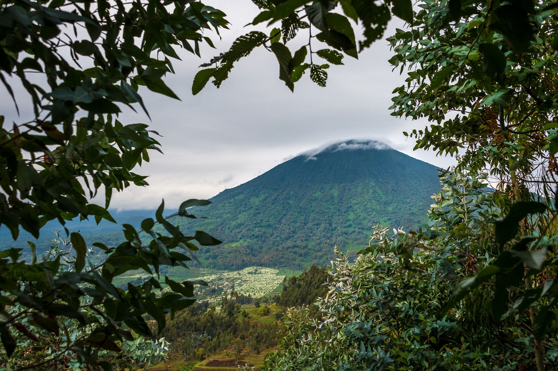 Travel Expert Allison's Trekking Tales in Volcanoes National Park
