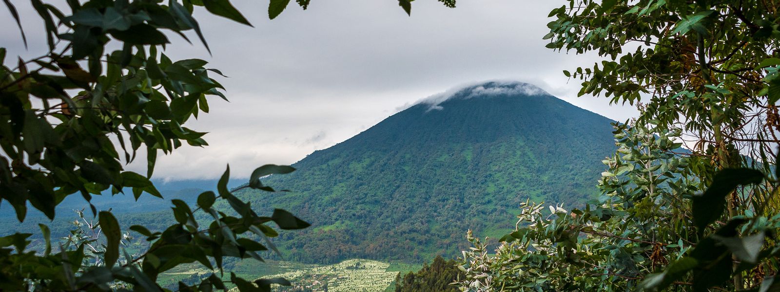 Travel Expert Allison's Trekking Tales in Volcanoes National Park
