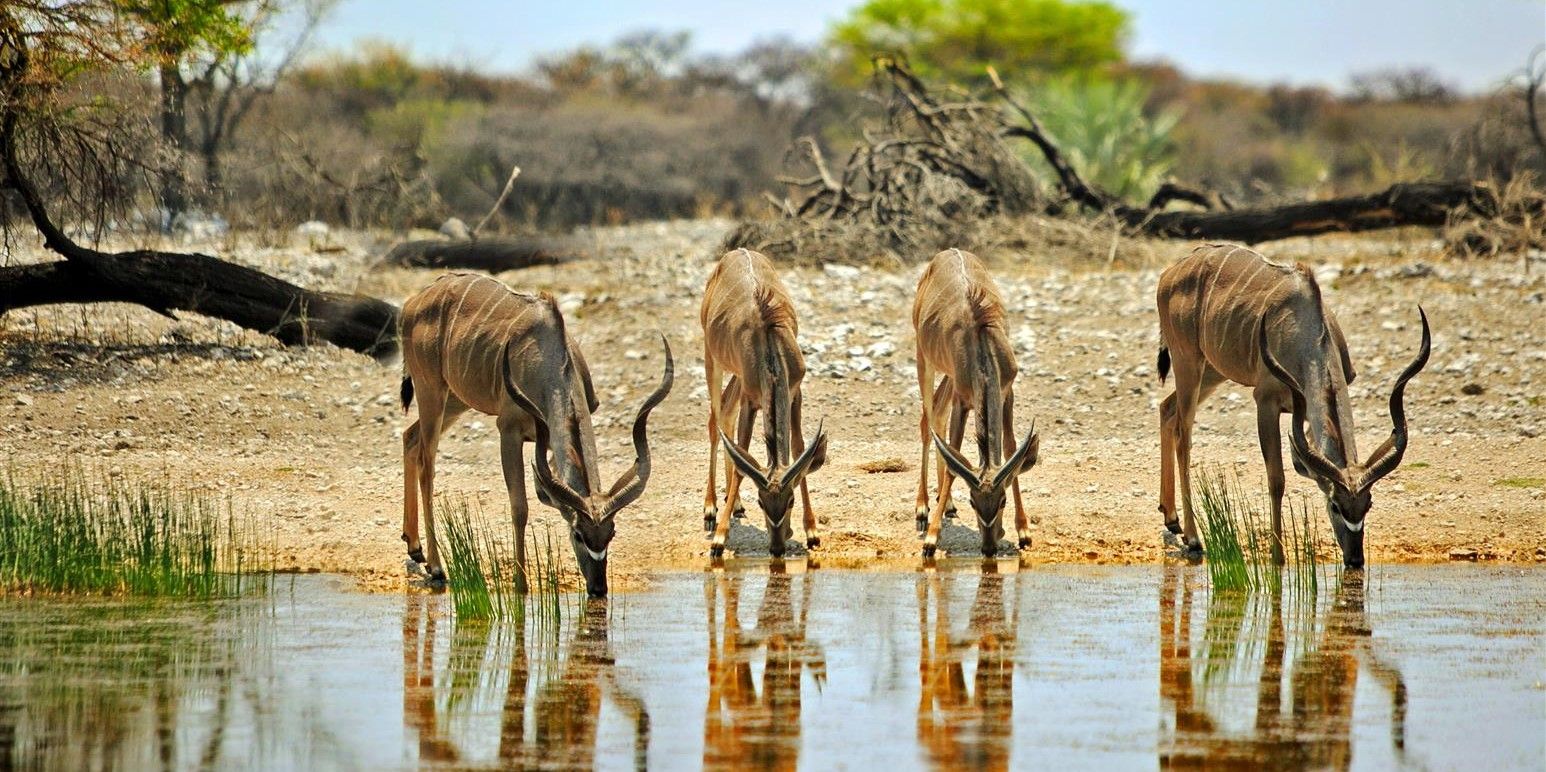 Namibie - Épisode 5 : Du Kunene au Parc National d’Etosha