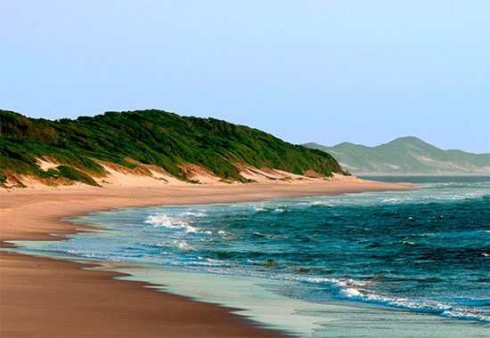White Pearl | Dunes and Beach