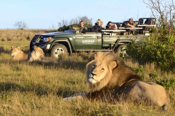 GARDEN ROUTE | Étape #4 : Un safari sur la Garden Route