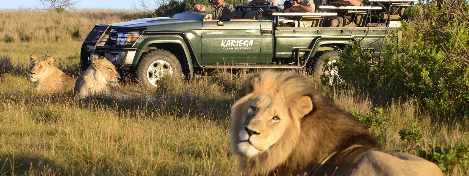 GARDEN ROUTE | Étape #4 : Un safari sur la Garden Route