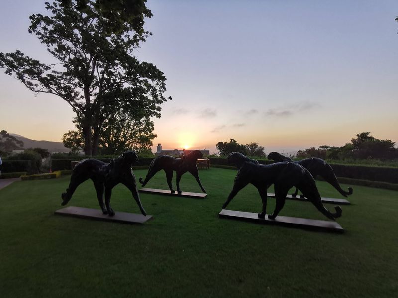 Cheetah statues at the Delaire Graff Estate in the Stellenbosch Vineyards