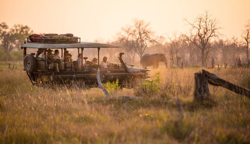 A Typical 24 Hours on an African Safari