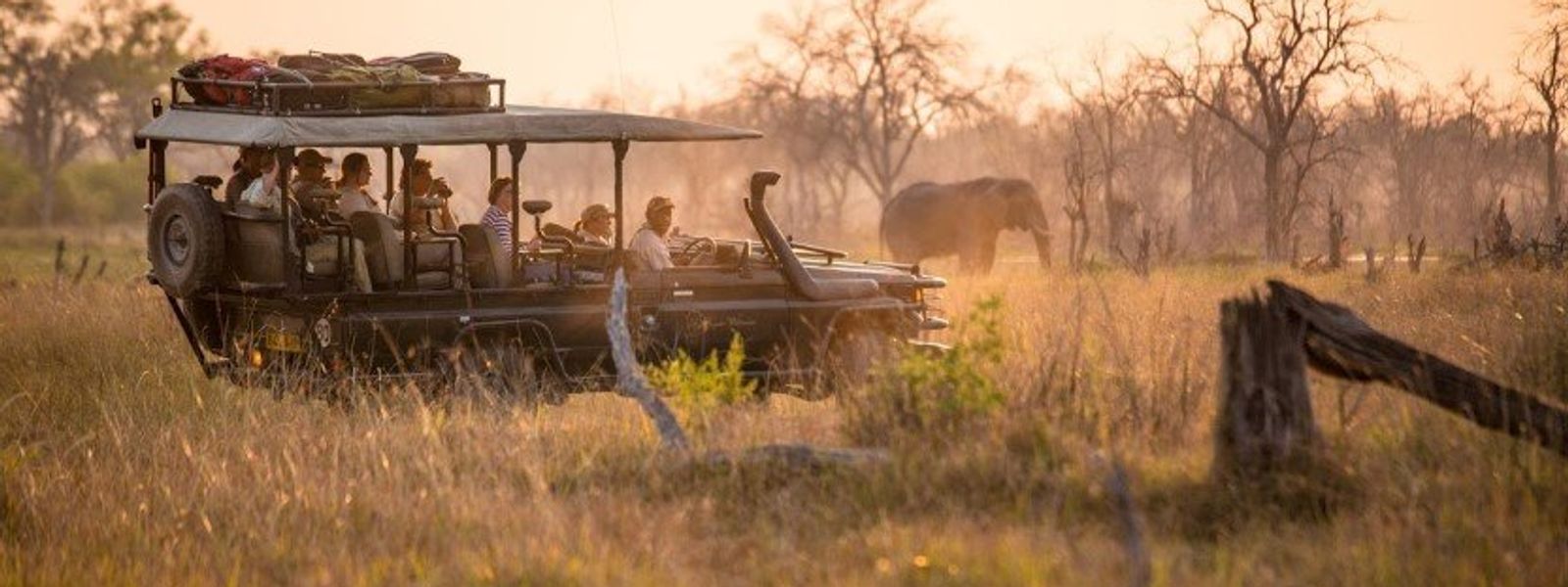 A Typical 24 Hours on an African Safari