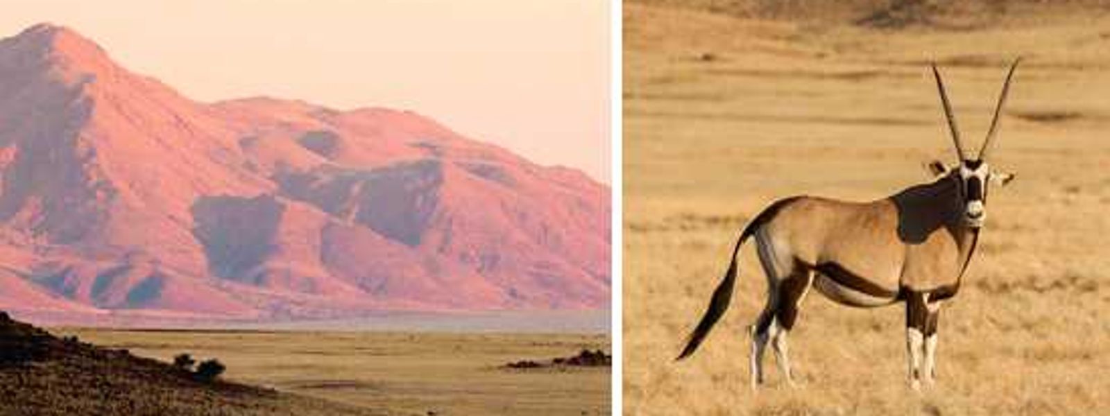 The Secret to Sossusvlei