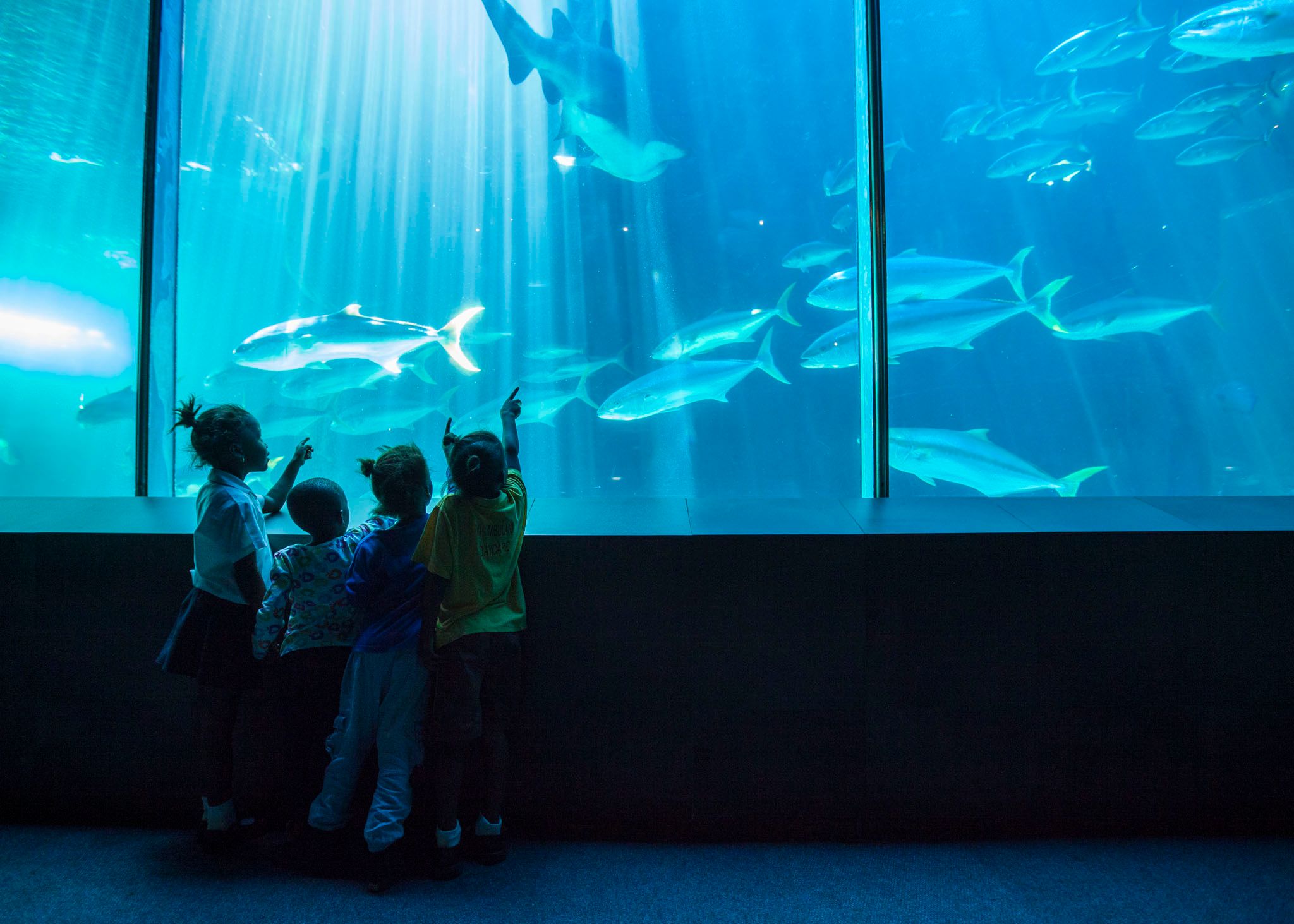 Under the Sea with Khumbulani