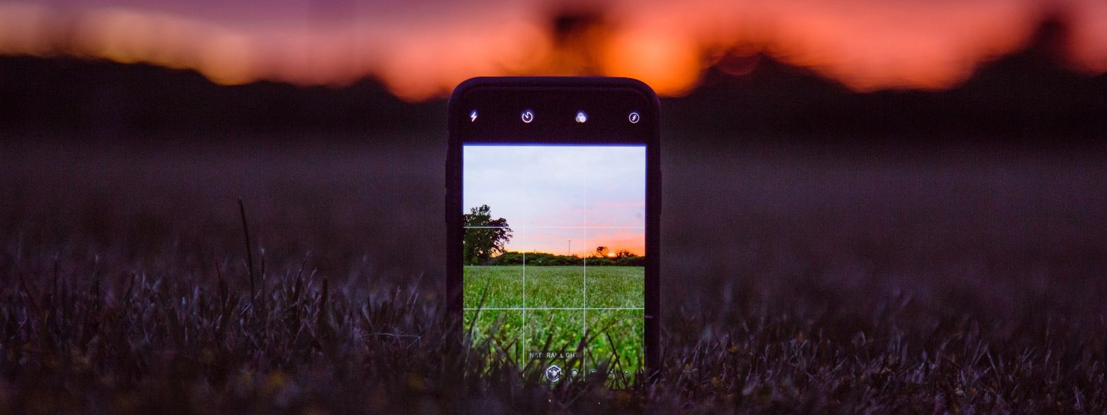 12 Tips and Tricks for Phone Photography