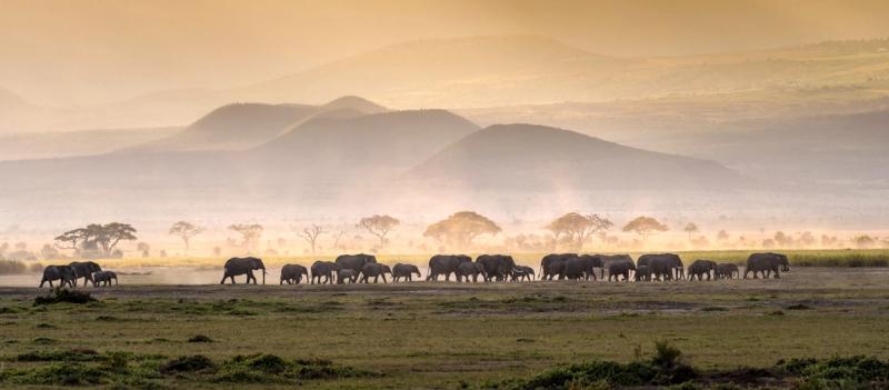 Tanzania is a hot commodity, so it's definitly advisable to book well in advance