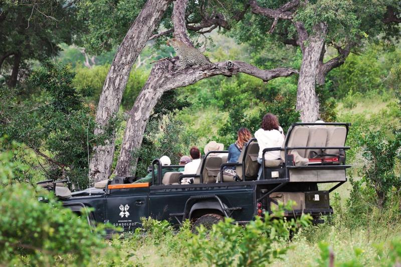 Reserve o seu safari africano dos sonhos com a empresa líder de safári da África