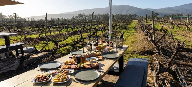Wooden table set with wine glasses and charcuterie platters overlooking rows of vineyard vines