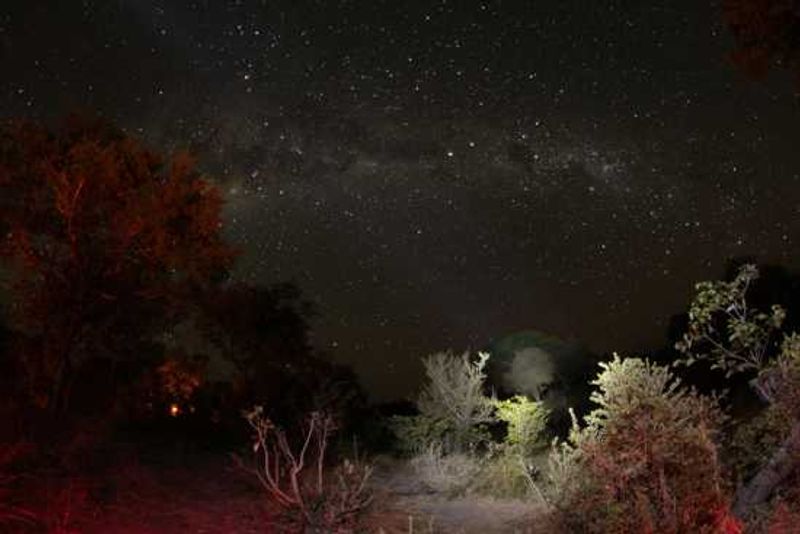 Stars for Africa