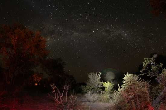 Stars for Africa